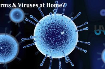How to Use a UV light to Kill Germs & Viruses at Home